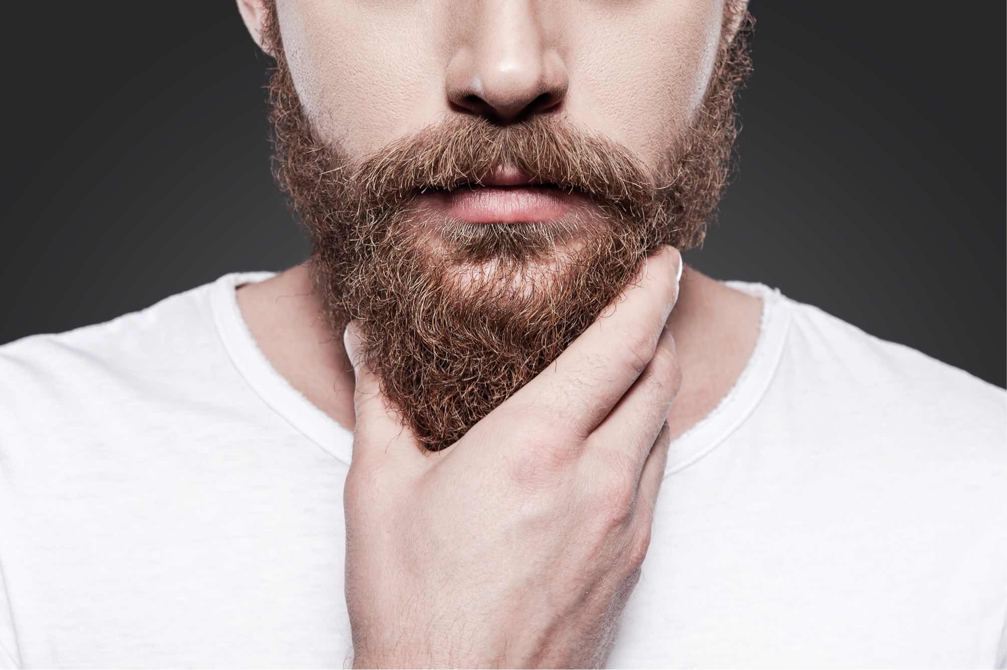 Materialismo Poderoso Agencia de viajes Consejos para el cuidado de la barba | David Vallina